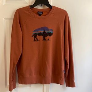 Patagonia sweatshirt size M